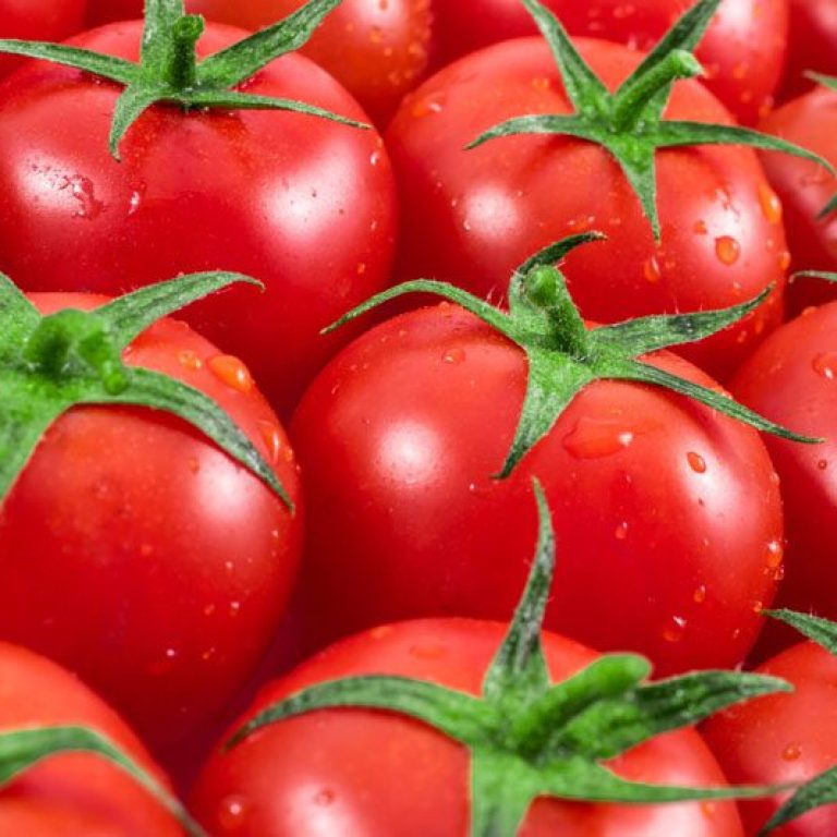 Foto-prova-Pomodoro-Nitroveg-2